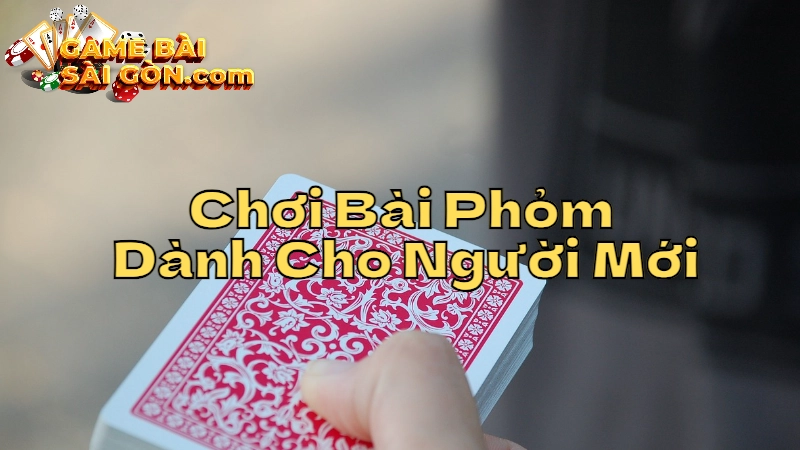 Hướng Dẫn Chơi Bài Phỏm Miễn Phí Dành Cho Người Mới